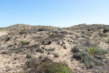 Bulgaristan 'ın Burgaz Bölgesi' nin Dyuni tatil beldesi yakınlarındaki The Driver Beach manzarası