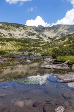 Banderitsa Nehri, Pirin Dağı, Bulgaristan 'lı Yaz Manzarası