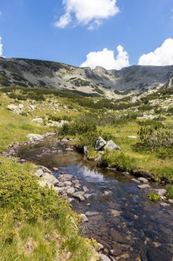 Banderitsa Nehri, Pirin Dağı, Bulgaristan 'lı Yaz Manzarası
