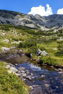 Banderitsa Nehri, Pirin Dağı, Bulgaristan 'lı Yaz Manzarası
