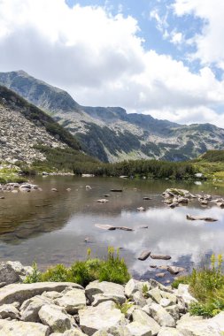 Banderitsa Nehri, Pirin Dağı, Bulgaristan 'lı Yaz Manzarası