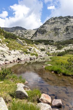 Banderitsa Nehri, Pirin Dağı, Bulgaristan 'lı Yaz Manzarası