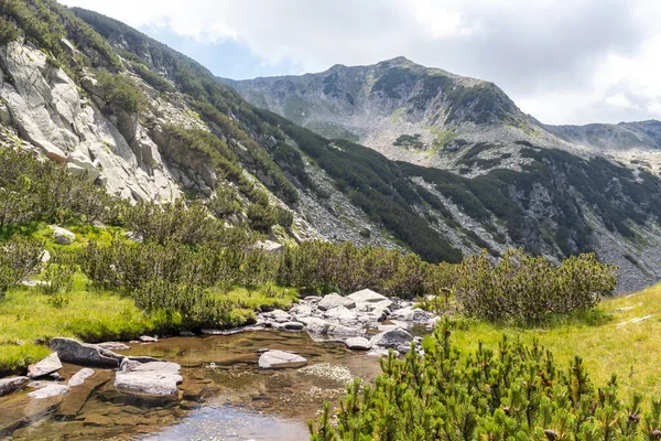 Summer Landscape Banderitsa River Pirin Mountain Bulgaria — Stok Foto