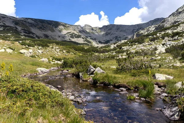 Letni Krajobraz Rzeką Banderitsa Góra Pirin Bułgaria — Zdjęcie stockowe
