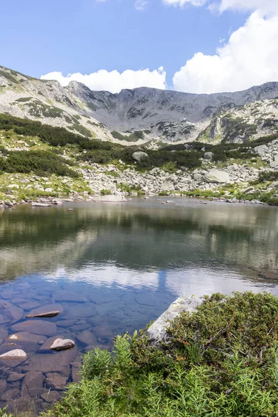 Paisagem Verão Com Rio Banderitsa Montanha Pirin Bulgária — Fotografia de Stock