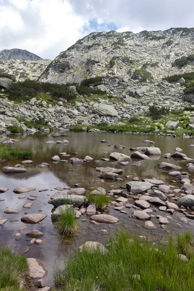 Paisaje Verano Con Río Banderitsa Montaña Pirin Bulgaria — Foto de Stock