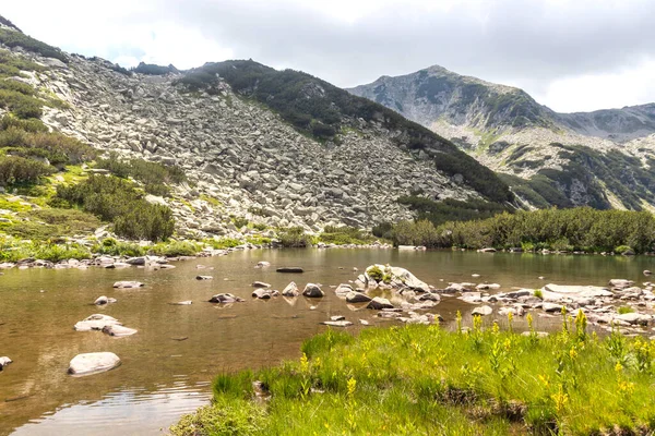 Летний Пейзаж Рекой Бандерица Гора Пирин Болгария — стоковое фото