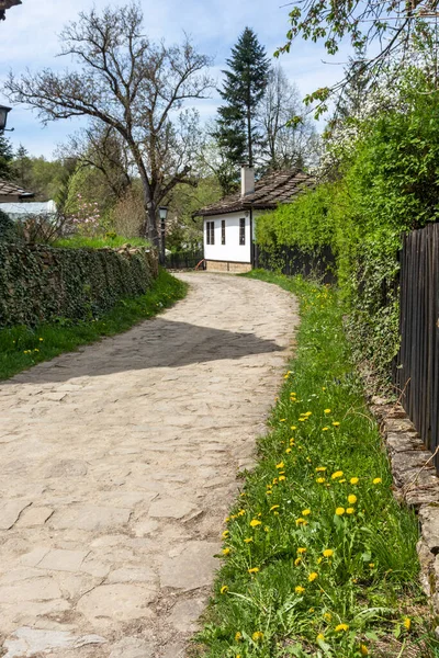 Rua Típica Casas Antigas Aldeia Histórica Bozhentsi Região Gabrovo Bulgária — Fotografia de Stock