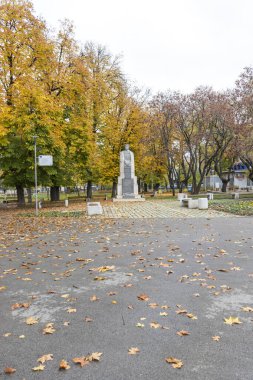 MONTANA, BULGARIA - 22 Kasım 2020: Bulgaristan 'ın Montana kentinin merkezindeki tipik bina ve cadde