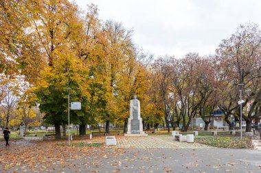 MONTANA, BULGARIA - 22 Kasım 2020: Bulgaristan 'ın Montana kentinin merkezindeki tipik bina ve cadde