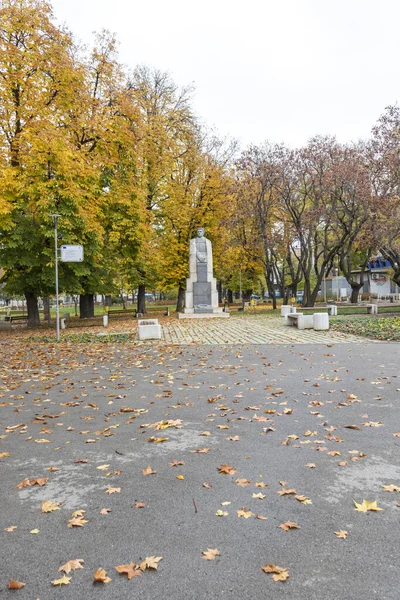 MONTANA, BULGARIA - 22 Kasım 2020: Bulgaristan 'ın Montana kentinin merkezindeki tipik bina ve cadde