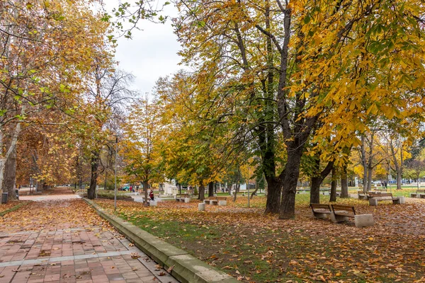 MONTANA, BULGARIA - 22 Kasım 2020: Bulgaristan 'ın Montana kentinin merkezindeki tipik bina ve cadde