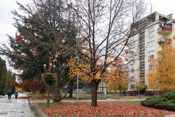 Montana Bulgaria Noviembre 2020 Edificio Típico Calle Centro Ciudad Montana — Foto de Stock