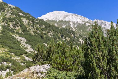 Bulgaristan 'ın Vihren kulübesi yakınlarındaki Pirin Dağı' nın yaz manzarası