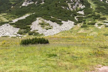 Bulgaristan 'ın Vihren kulübesi yakınlarındaki Pirin Dağı' nın yaz manzarası