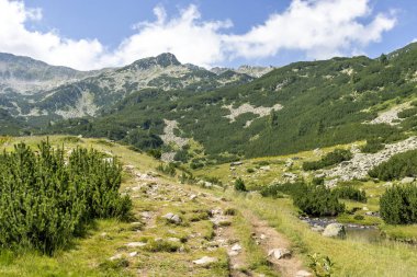 Bulgaristan 'ın Vihren kulübesi yakınlarındaki Pirin Dağı' nın yaz manzarası