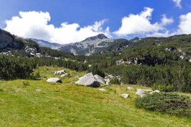 Bulgaristan 'ın Vihren kulübesi yakınlarındaki Pirin Dağı' nın yaz manzarası