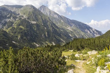Bulgaristan 'ın Vihren kulübesi yakınlarındaki Pirin Dağı' nın yaz manzarası