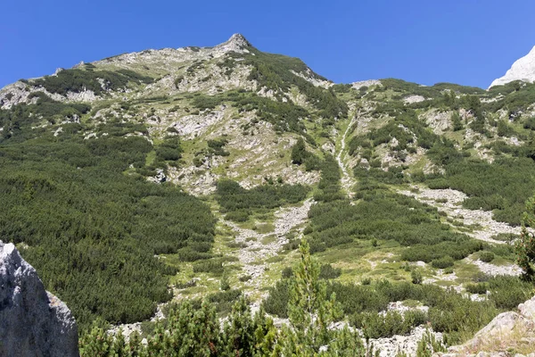 Summer Landscape Pirin Mountain Vihren Hut Bulgaria — Stock fotografie