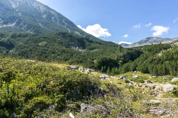 Paysage Estival Montagne Pirin Près Cabane Vihren Bulgarie — Photo