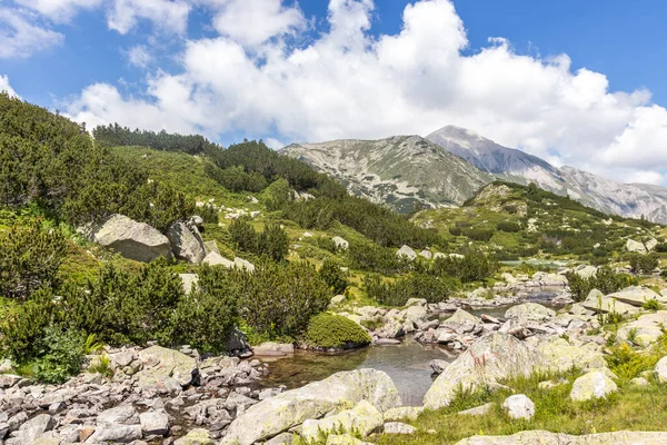 Paisagem Verão Pirin Mountain Perto Vihren Hut Bulgária — Fotografia de Stock