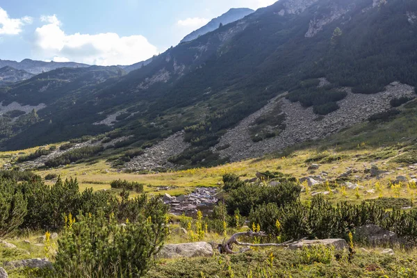 Paysage Estival Montagne Pirin Près Cabane Vihren Bulgarie — Photo