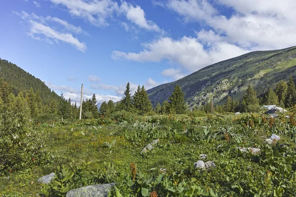 stock image Landscape of area of Tiha Rila (Quiet Rila), Rila mountain, Bulgaria