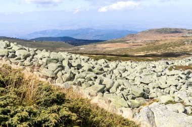 İnanılmaz Sonbahar Manzarası Vitosha Dağı, Sofya Şehir Bölgesi, Bulgaristan