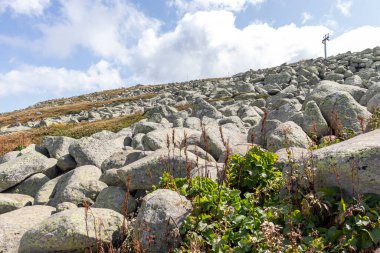İnanılmaz Sonbahar Manzarası Vitosha Dağı, Sofya Şehir Bölgesi, Bulgaristan