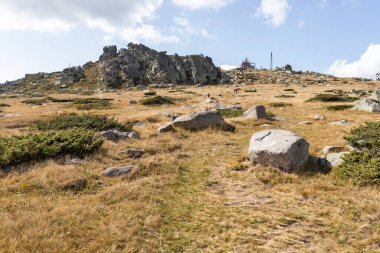 İnanılmaz Sonbahar Manzarası Vitosha Dağı, Sofya Şehir Bölgesi, Bulgaristan