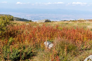 İnanılmaz Sonbahar Manzarası Vitosha Dağı, Sofya Şehir Bölgesi, Bulgaristan