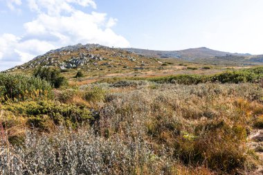 İnanılmaz Sonbahar Manzarası Vitosha Dağı, Sofya Şehir Bölgesi, Bulgaristan