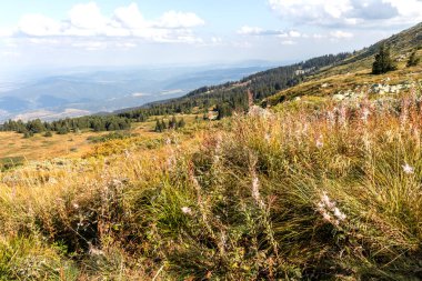 İnanılmaz Sonbahar Manzarası Vitosha Dağı, Sofya Şehir Bölgesi, Bulgaristan