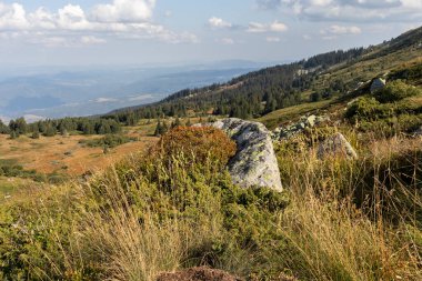İnanılmaz Sonbahar Manzarası Vitosha Dağı, Sofya Şehir Bölgesi, Bulgaristan