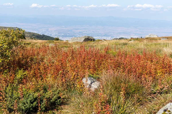 保加利亚索菲亚市维多沙山秋季奇景 — 图库照片