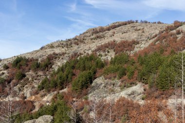 Bulgaristan 'ın Borovitsa Barajı yakınlarındaki Rodop Dağlarının şaşırtıcı manzarası