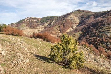Bulgaristan 'ın Borovitsa Barajı yakınlarındaki Rodop Dağlarının şaşırtıcı manzarası