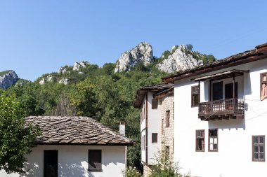 Ortaçağ Varsayım Manastırı, Vratsa bölgesi, Bulgaristan