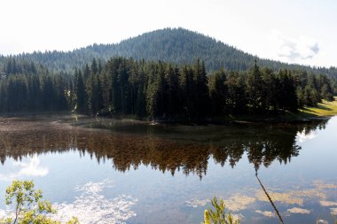 Bulgaristan 'ın Bekika Reservoir, Pazardzhik bölgesinin muhteşem manzarası