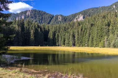 Bulgaristan 'ın Smolyan Bölgesi, Rodop Dağları' ndaki Grassy (Trevistoto) Smolyan Gölü manzarası