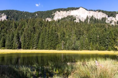Bulgaristan 'ın Smolyan Bölgesi, Rodop Dağları' ndaki Grassy (Trevistoto) Smolyan Gölü manzarası