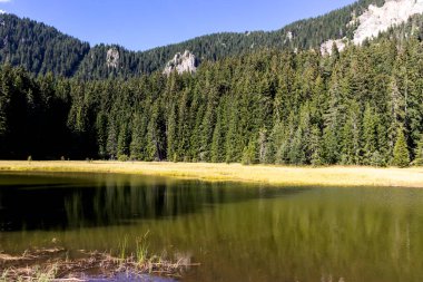 Bulgaristan 'ın Smolyan Bölgesi, Rodop Dağları' ndaki Grassy (Trevistoto) Smolyan Gölü manzarası