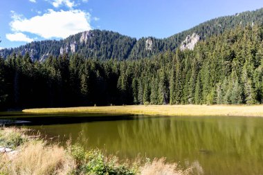 Bulgaristan 'ın Smolyan Bölgesi, Rodop Dağları' ndaki Grassy (Trevistoto) Smolyan Gölü manzarası