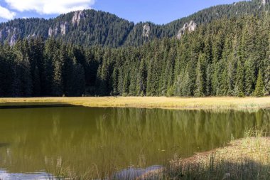 Bulgaristan 'ın Smolyan Bölgesi, Rodop Dağları' ndaki Grassy (Trevistoto) Smolyan Gölü manzarası