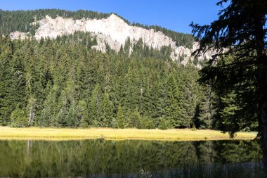Bulgaristan 'ın Smolyan Bölgesi, Rodop Dağları' ndaki Grassy (Trevistoto) Smolyan Gölü manzarası