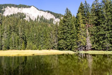 Bulgaristan 'ın Smolyan Bölgesi, Rodop Dağları' ndaki Grassy (Trevistoto) Smolyan Gölü manzarası