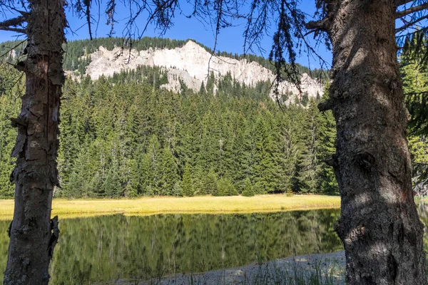 Landschaft Des Grasbewachsenen Trevistoto Smolyan Sees Den Rhodopen Smolyan Region — Stockfoto