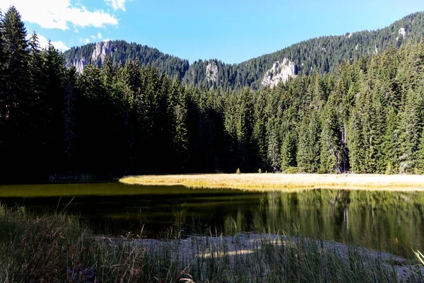 Krajina Grassy Trevistoto Smolyan Lake Rhodope Mountains Smolyan Region Bulharsko — Stock fotografie