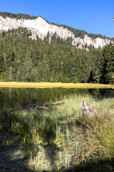 Krajina Grassy Trevistoto Smolyan Lake Rhodope Mountains Smolyan Region Bulharsko — Stock fotografie