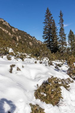 Bulgaristan 'ın Malyovitsa zirvesi yakınlarındaki Rila Dağı' nın şaşırtıcı kış manzarası